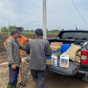 Hướng dẫn sử dụng dịch đạm cá