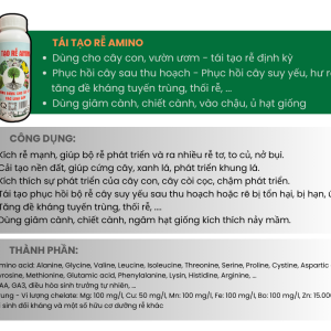 Tái tạo rễ amino phú nông